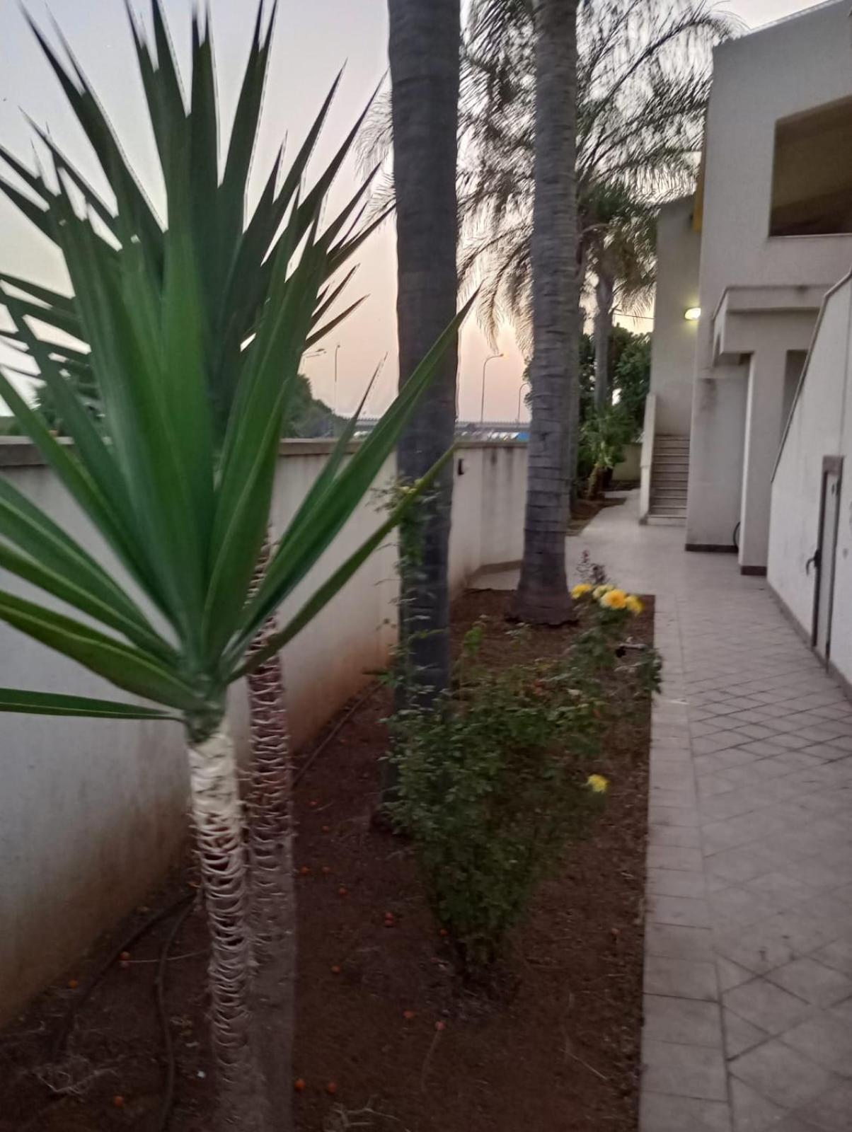 Viki House Mazara Apartment Mazara del Vallo Exterior photo